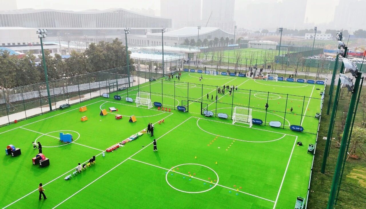 微信图片_2026-02-11_085915_264.jpg